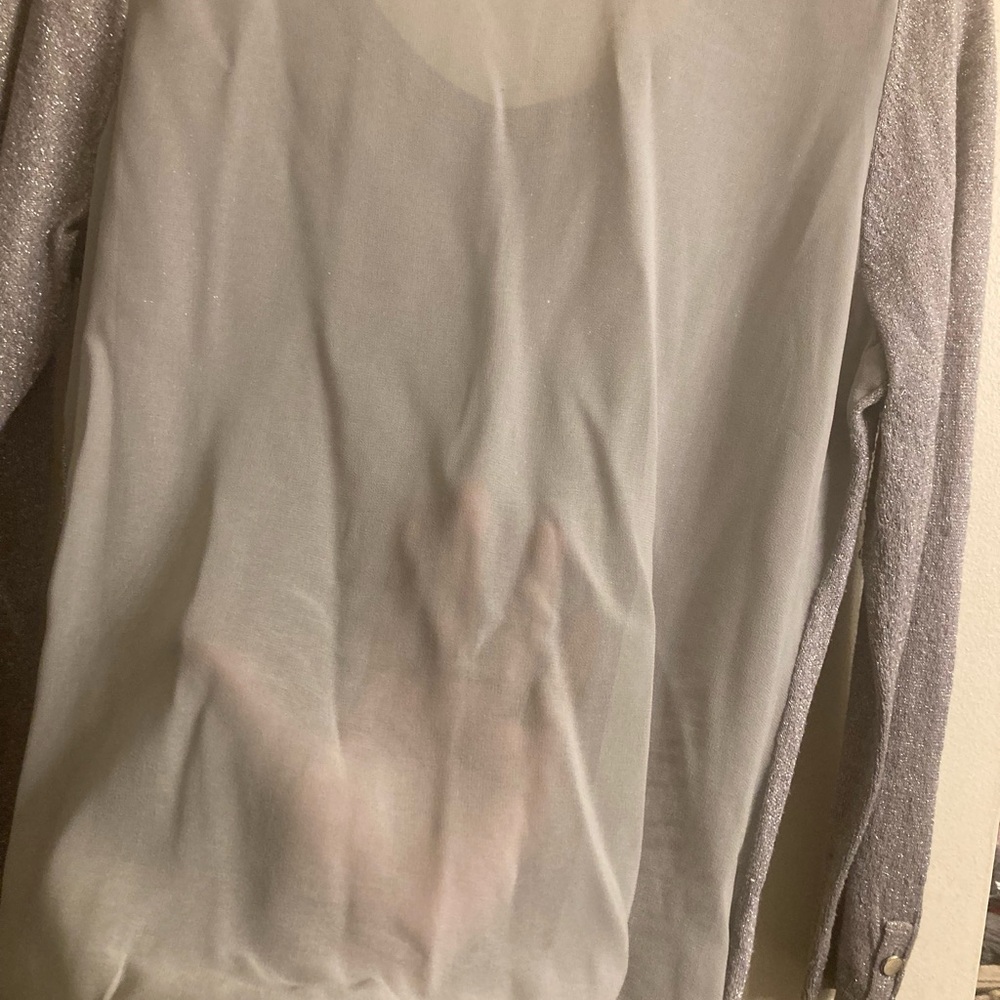 Sheer Silver Long Sleeve Top